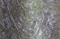 Colindale fibreglass roof work